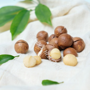 Hạt macca nứt vỏ
